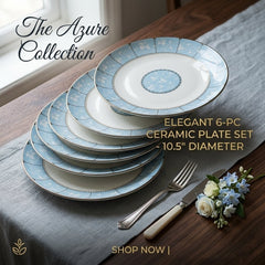 6Pcs 10.5" Ceramic Plate
