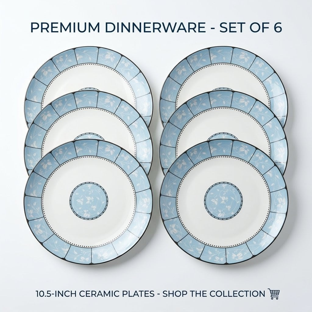 6Pcs 10.5" Ceramic Plate