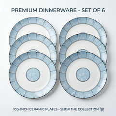 6Pcs 10.5" Ceramic Plate